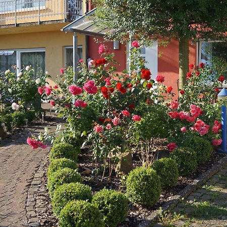 Ferienhaus Schloss-Garten Kapellen-Drusweiler Zewnętrze zdjęcie