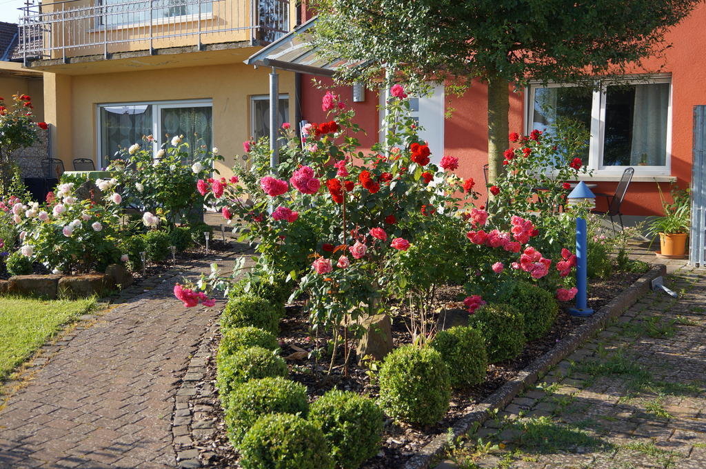 Ferienhaus Schloss-Garten Kapellen-Drusweiler Zewnętrze zdjęcie