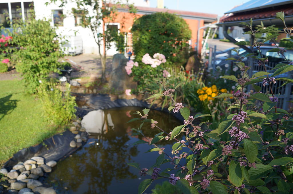 Ferienhaus Schloss-Garten Kapellen-Drusweiler Zewnętrze zdjęcie